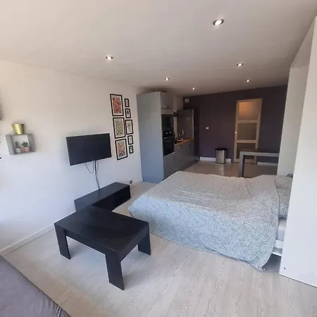 Grand Lumineux Apartament